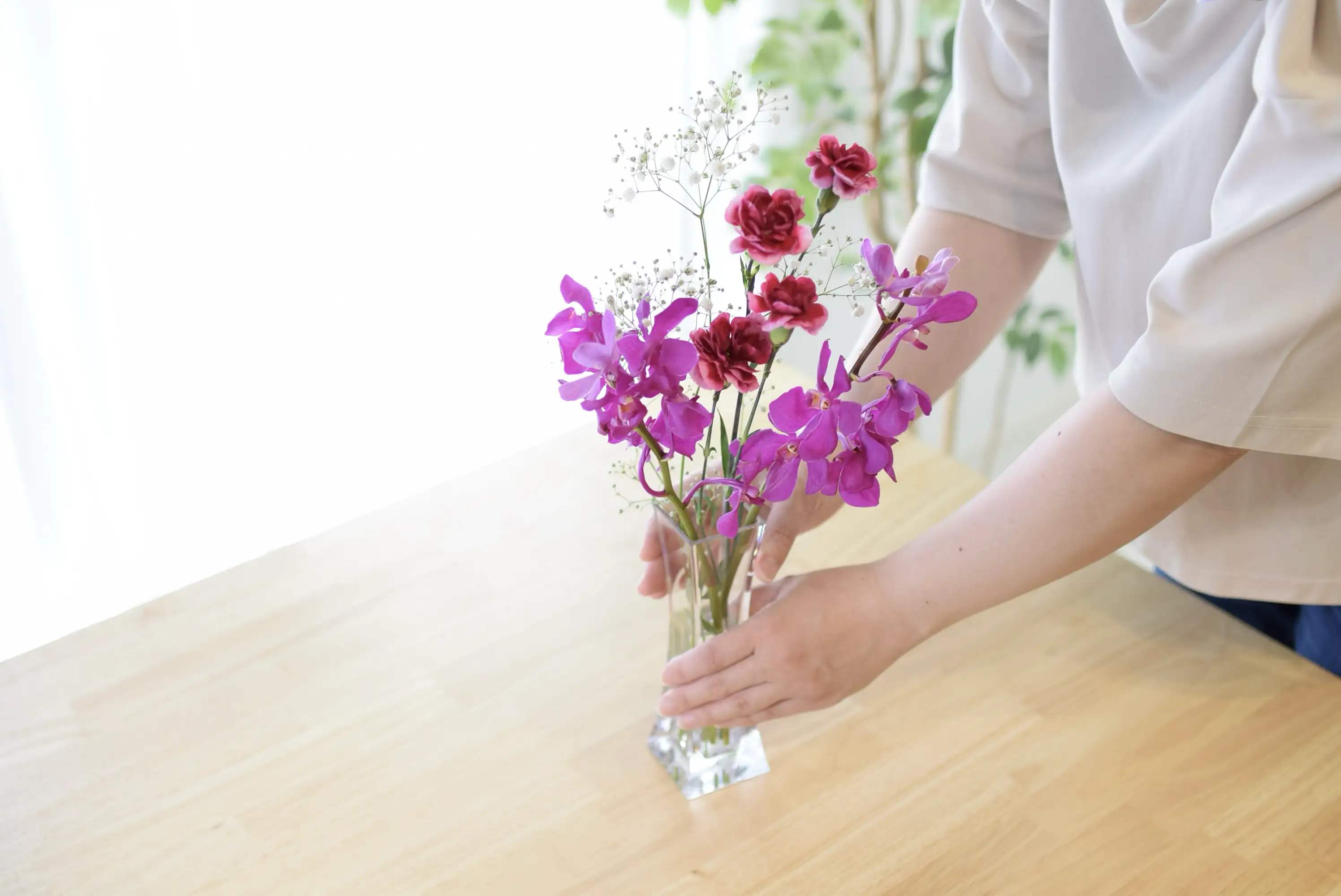 シンプルコースの写真