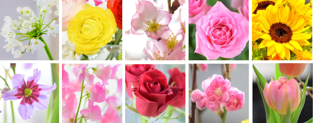 街とお花を届ける車