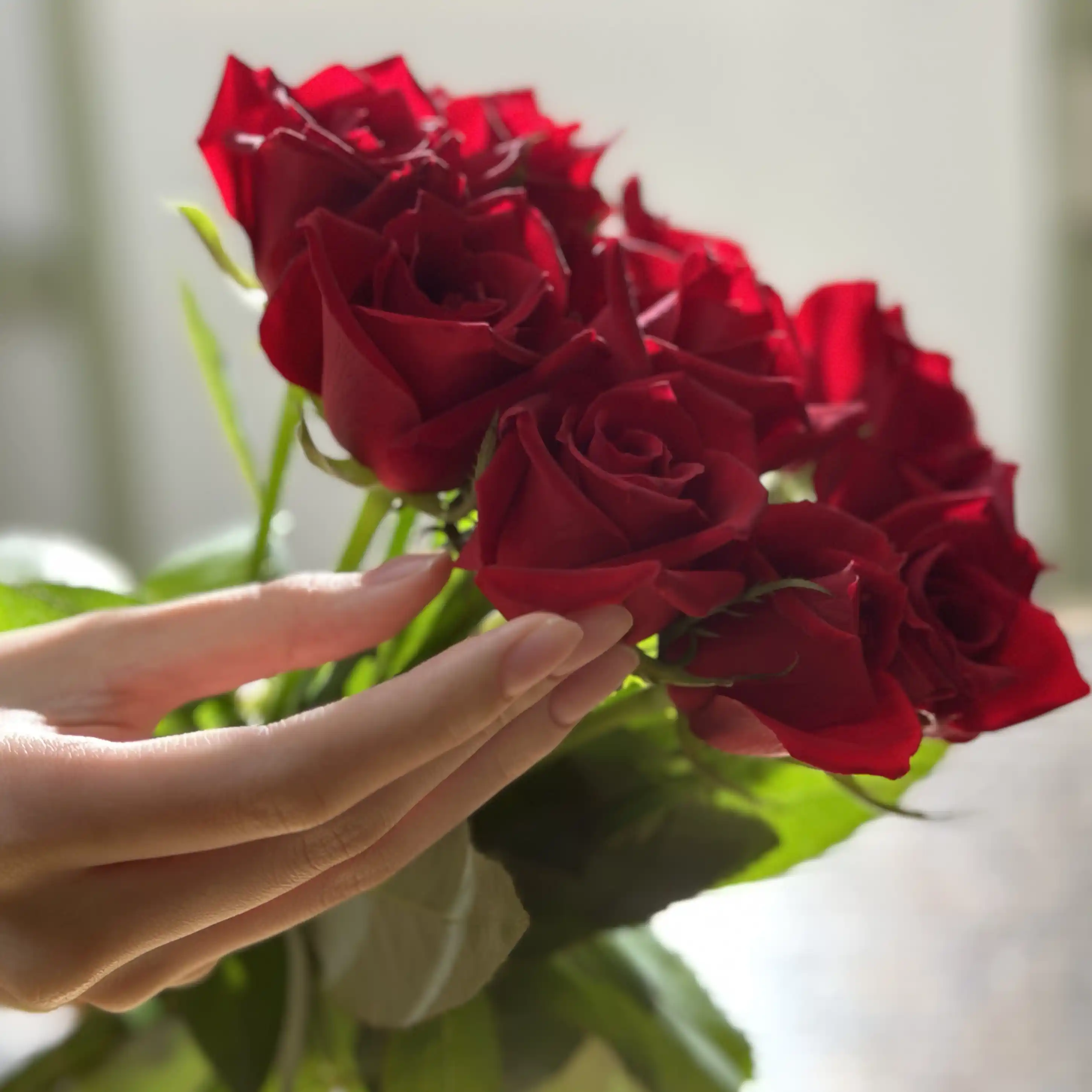 入荷した花の水揚げ処理